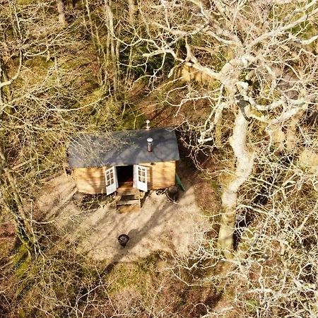 Bluebell Shepherds Hut Rolvenden Exterior foto